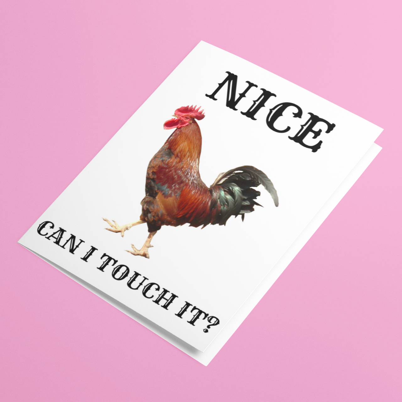 Naughty Card with a rooster illustration and 'nice cock can I touch it?' text on a pink background
