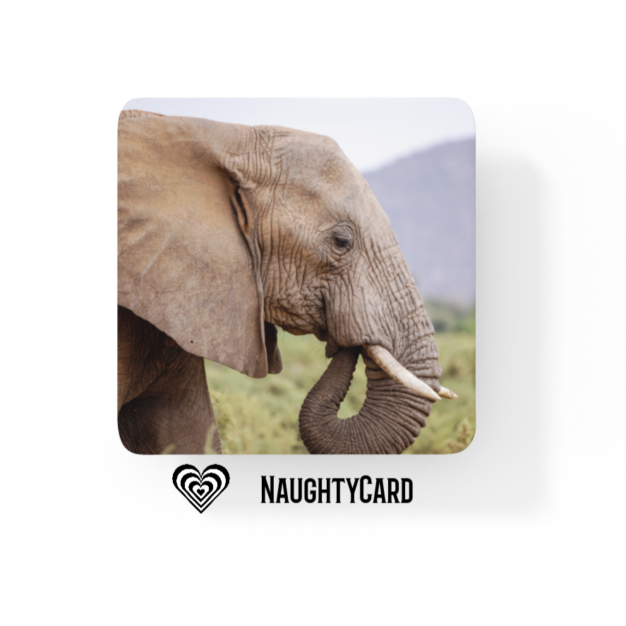 Elephant Coaster Christmas Gift