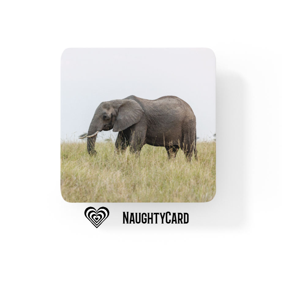 Elephant Glass Coaster