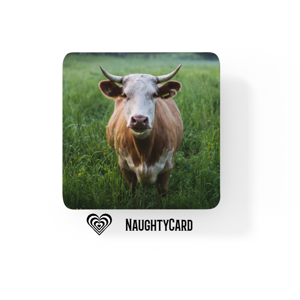 Cow Coaster - Glass Drinks Coaster